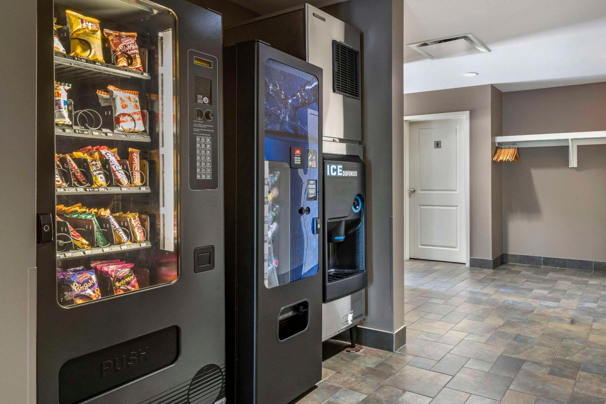 Quality Inn & Suites Quispamsis Rothesay Dış mekan fotoğraf